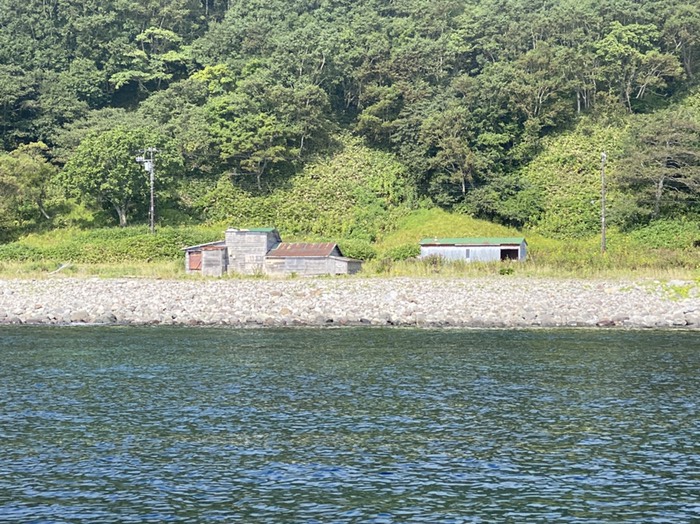 ヒグマクルーズ④