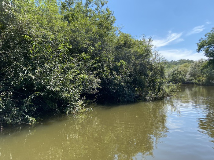 アレキナイ川③