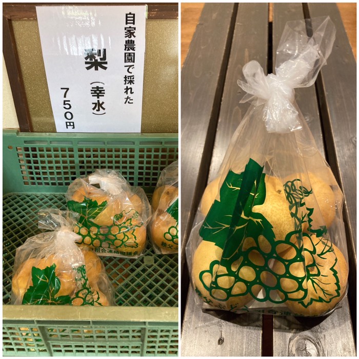 幸水梨がありました！