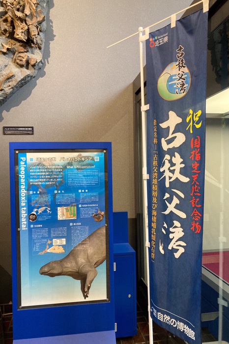 古秩父湾 凄い！