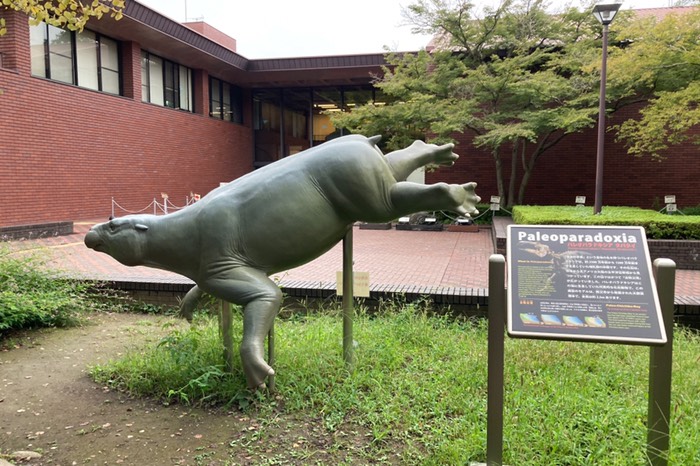 パレオパラドキシア像