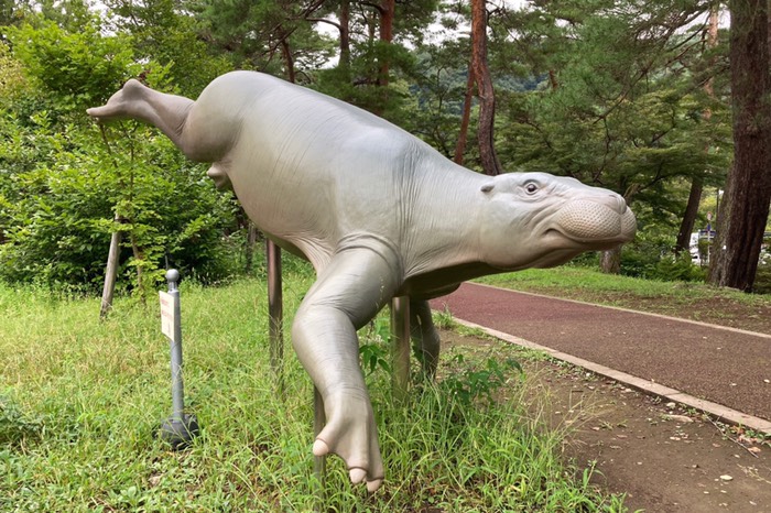 なんか可愛い顔♪