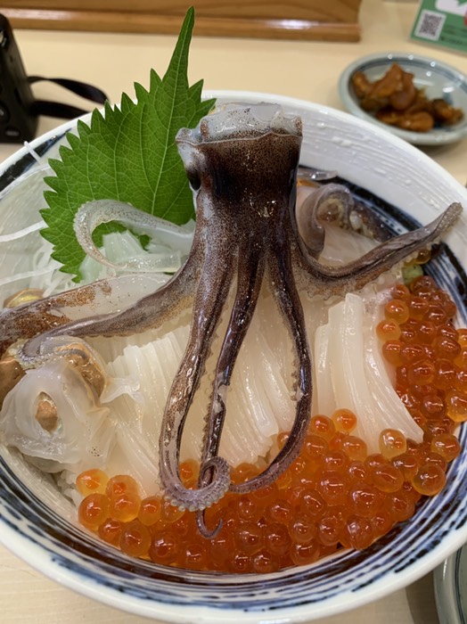 イカ踊丼