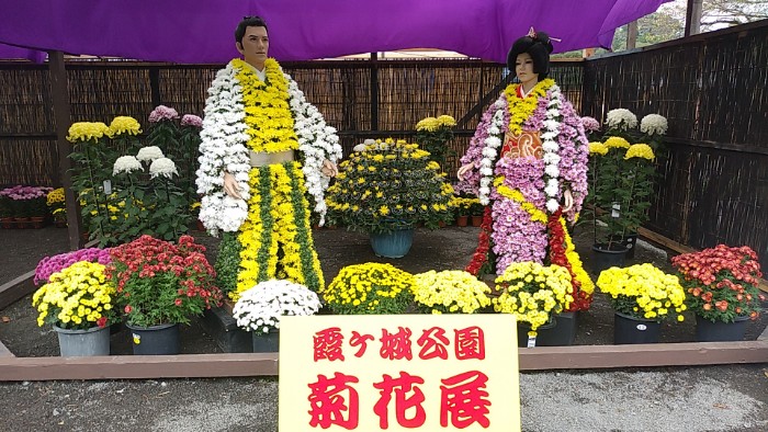 霞ヶ城公園 菊花展