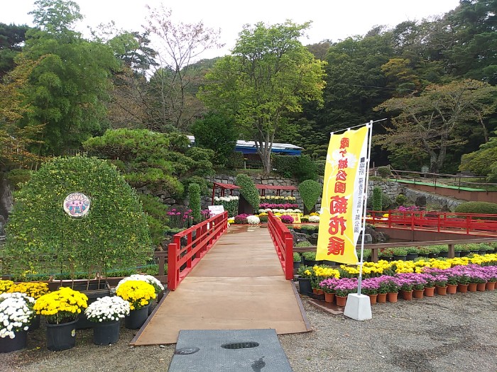 霞ヶ城公園 菊花展