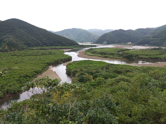 マングローブ展望台