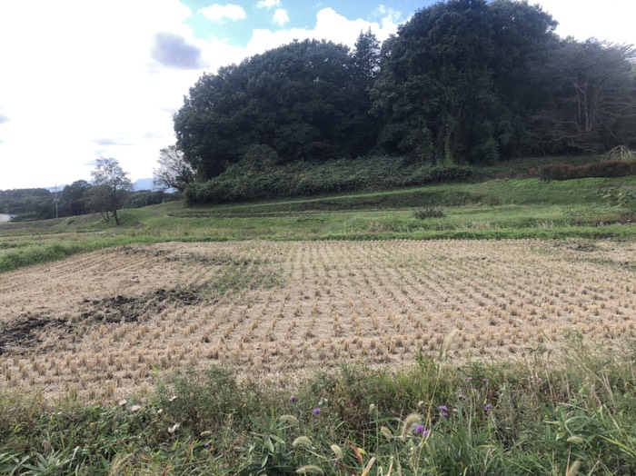 この辺りは綺麗な農家あり