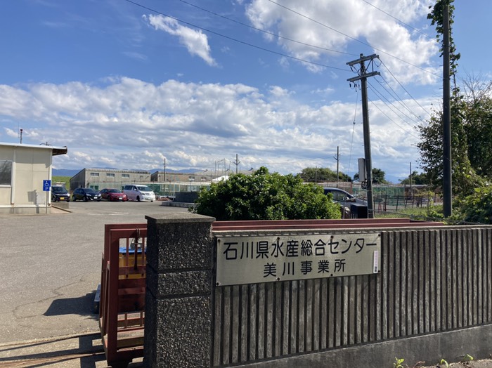 秋、ここに遡上する鮭は一見の価値あり