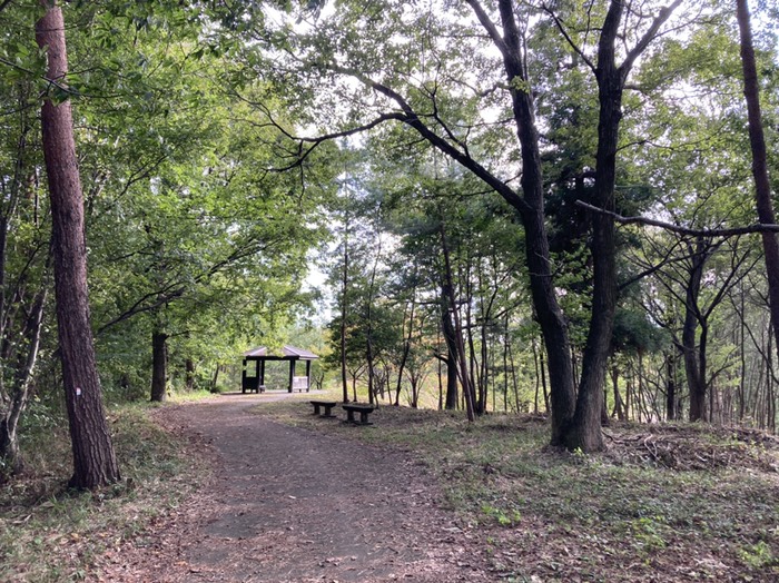 物見山運動公園健康の道の東屋