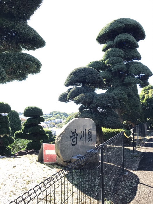 皆川園
