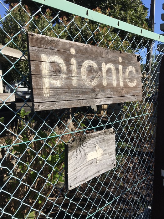 BearsHill Picnic