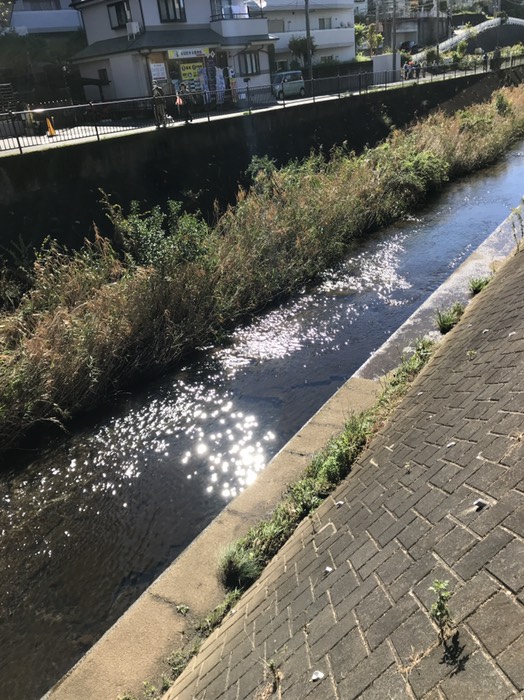 早渕川