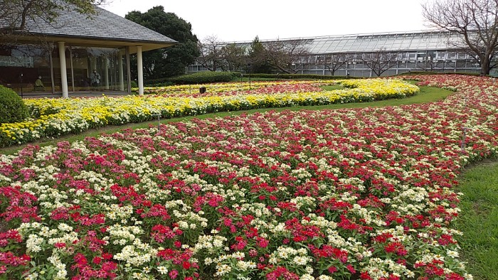 なばなの里 園内