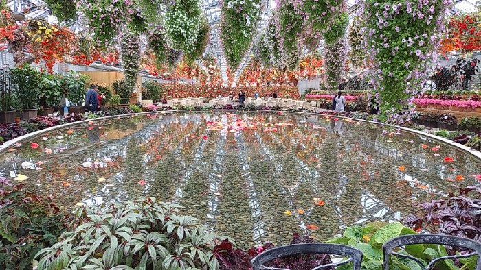 ベゴニアガーデン