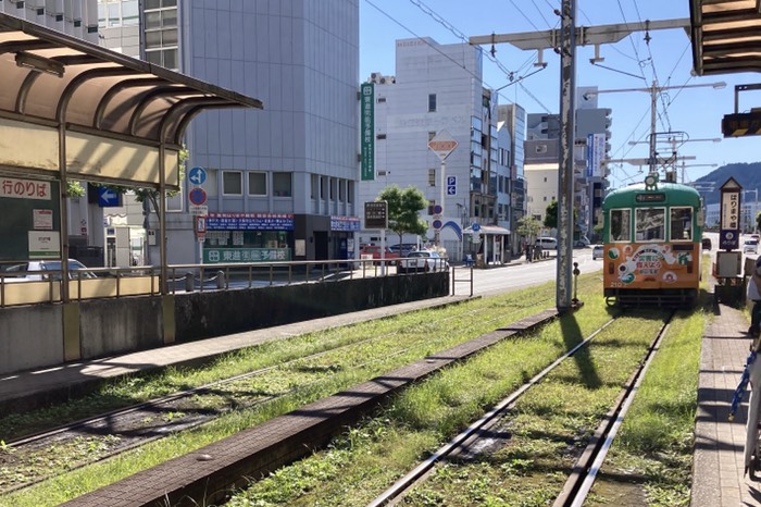 この芝生の上走ってるみたいなの好き♪