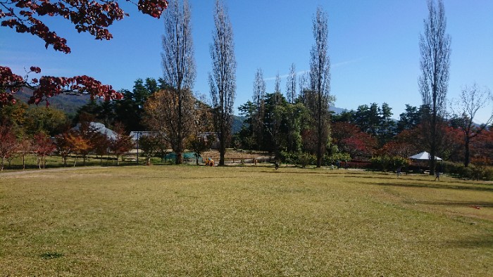 南八ヶ岳花の森公園