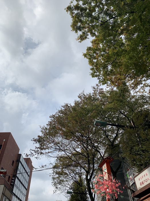 ロンブー淳いたよ