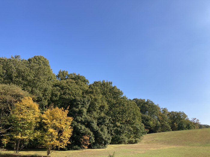 辰口丘陵公園の池の堤