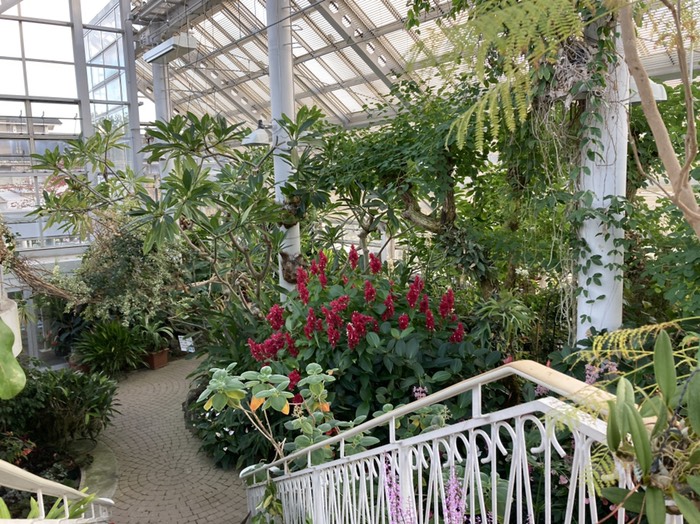 エレガガーデンの温室