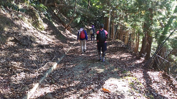 梅丈ヶ岳 登山道