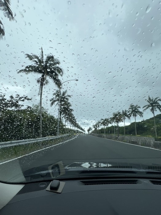 高速道路から。