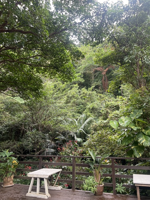 せせらぎの音が聞こえて癒される〜