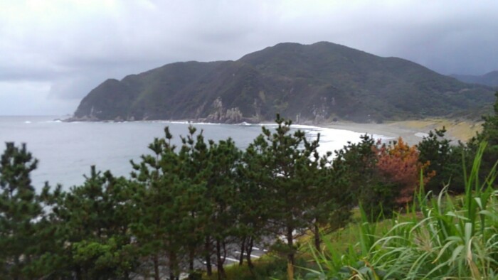 ！またまた初体験