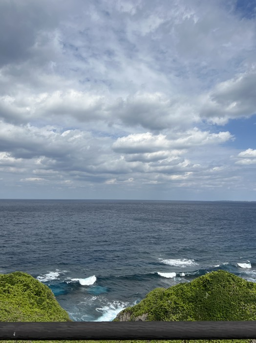 白鳥岬からふなうさぎばなたへ