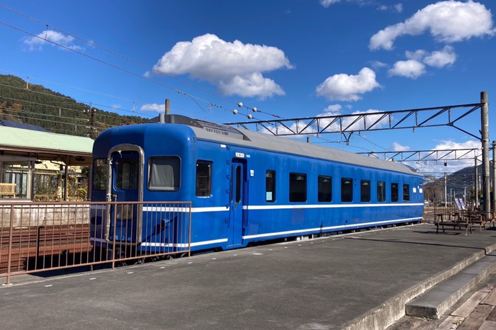 ブルートレインいた