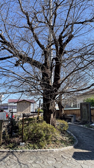 蒲原宿「夜の雪」描画地点