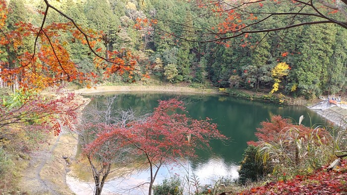 緑ヶ池(大正新田)