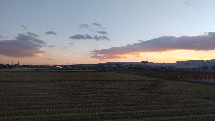 安八 バス停付近