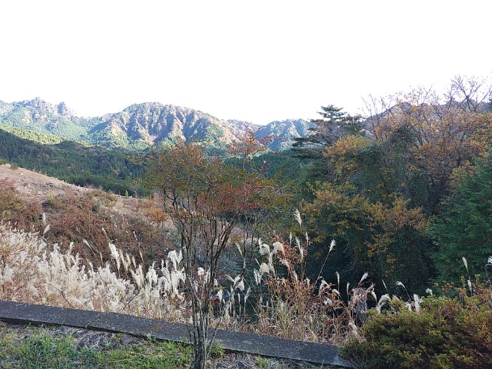 奥三河総合センターからの景色