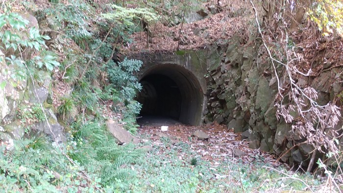 田口線 トンネル