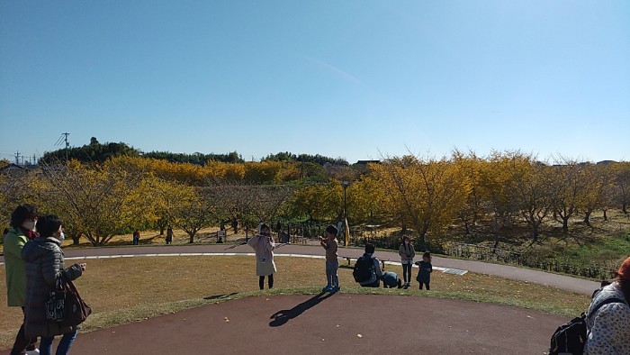 祖父江ぎんなんパーク