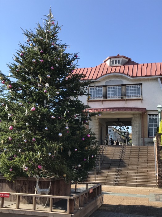 セレブツリー🎄