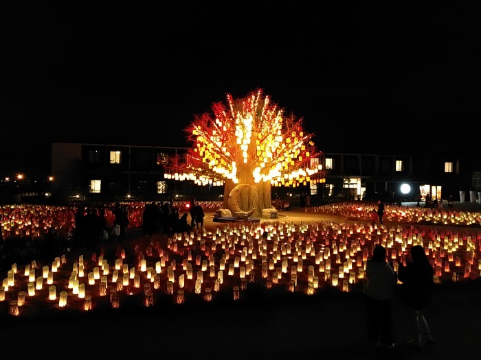 光の草原