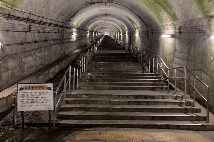 下から見上げる