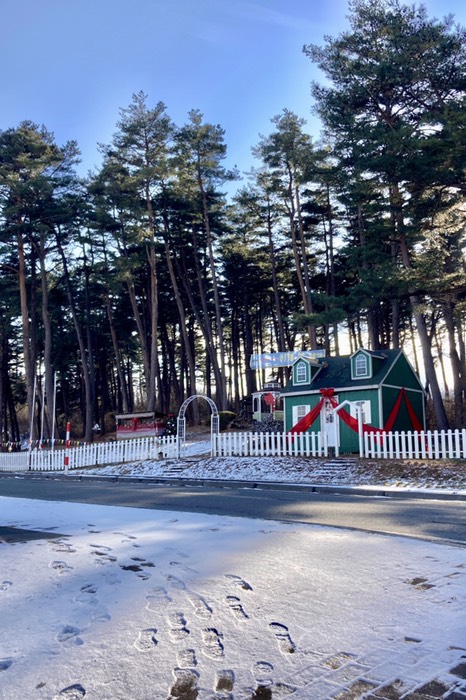 クリスマスぽい