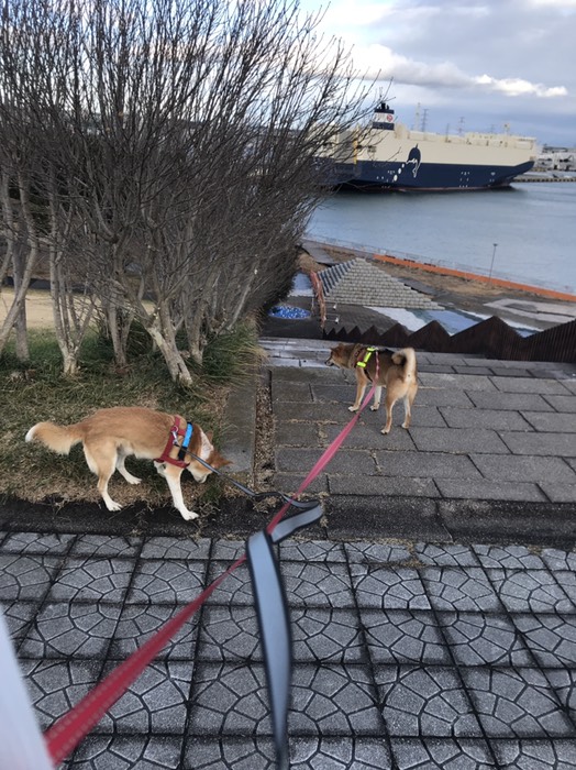 スリーエム仙台パーク