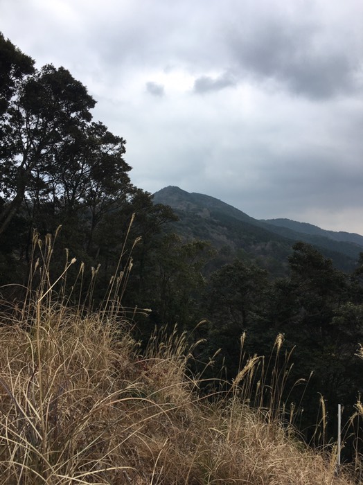 山頂いまだ遠し