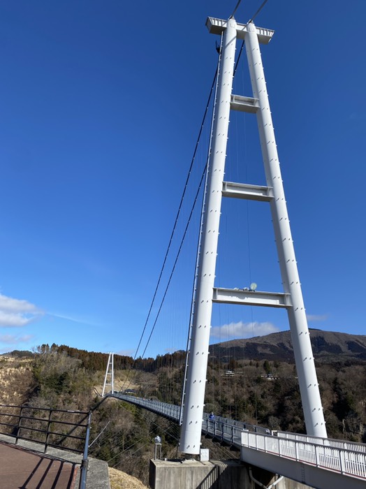 九重夢大吊橋③