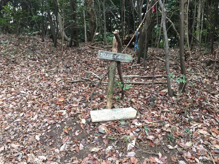 谷を詰めて峠まで来た