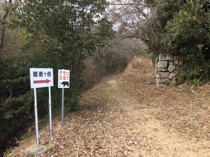 萩に出る奴とは別熊だな