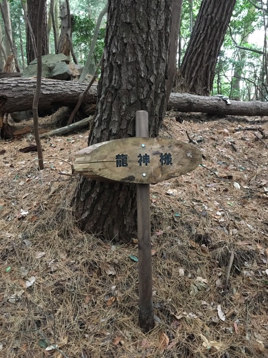 水神様尾根コース