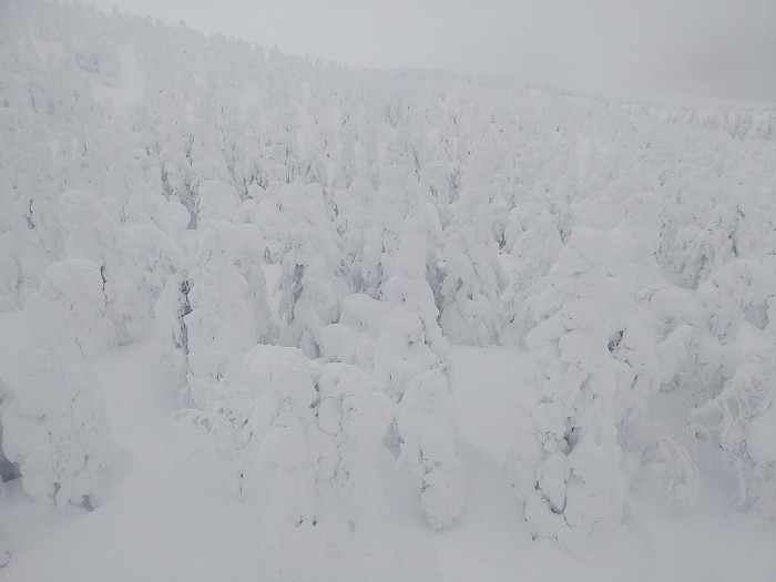 ロープウェイより
