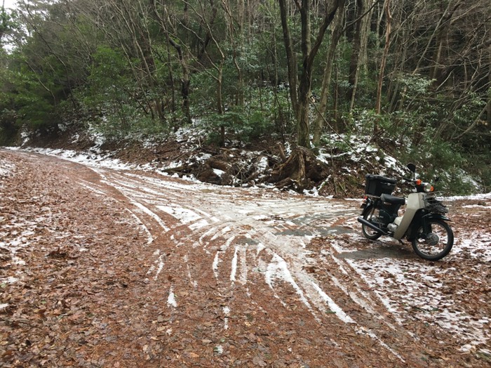 県道317号　頬白峠(つらじろ)