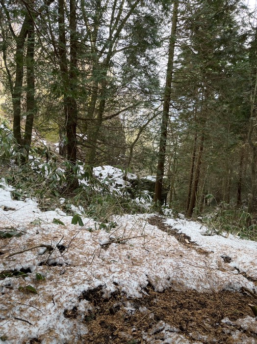 根雪がまだある