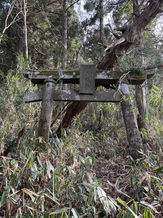 天越社鳥居