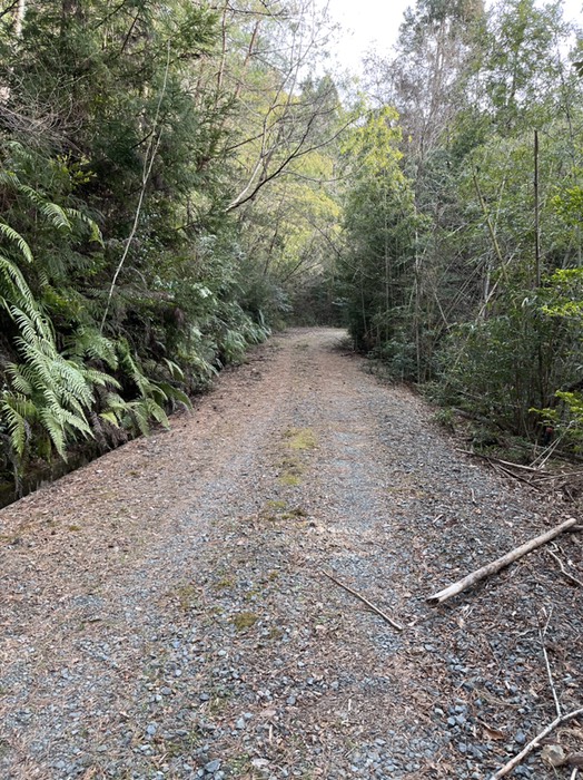 林道まで降りた